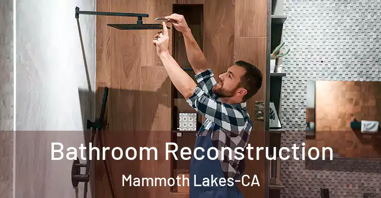 inner Bathroom imggen Bathroom Reconstruction Mammoth Lakes-CA