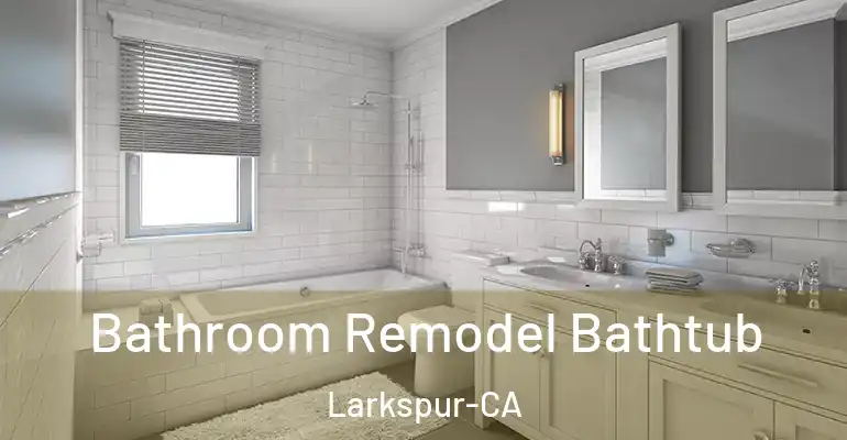 inner Bathroom imggen Bathroom Remodel Bathtub Larkspur-CA