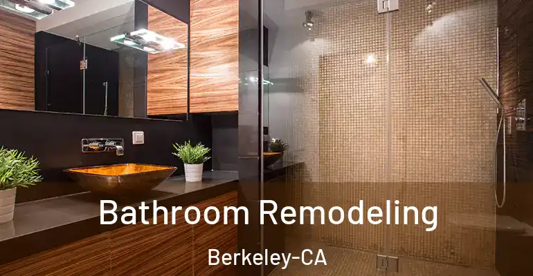 inner Bathroom imggen Bathroom Remodeling Berkeley-CA