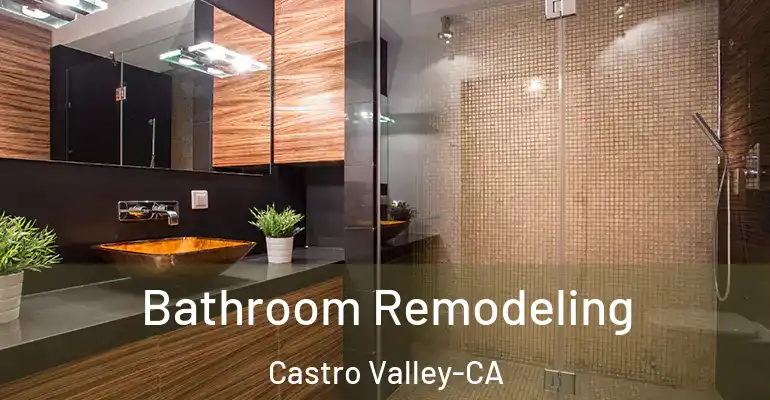 inner Bathroom imggen Bathroom Remodeling Castro Valley-CA