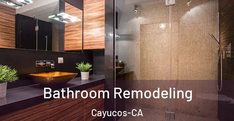 inner Bathroom imggen Bathroom Remodeling Cayucos-CA