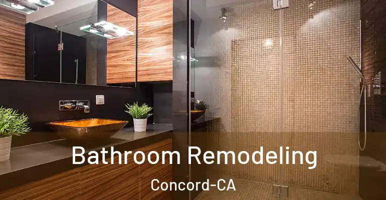 inner Bathroom imggen Bathroom Remodeling Concord-CA