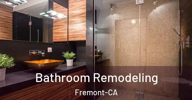 inner Bathroom imggen Bathroom Remodeling Fremont-CA