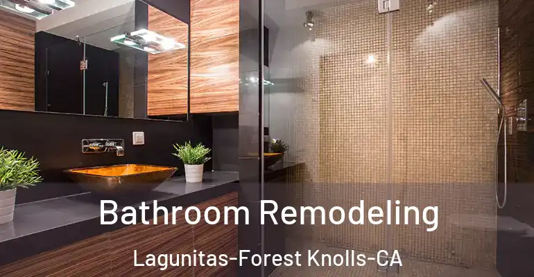 inner Bathroom imggen Bathroom Remodeling Lagunitas-Forest Knolls-CA