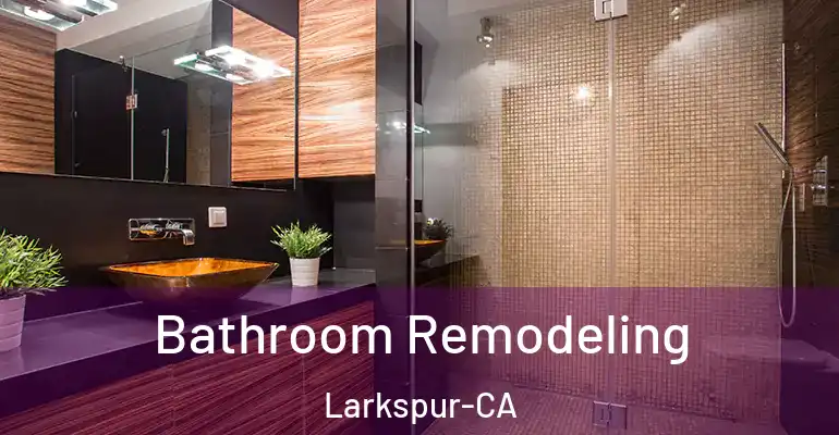 inner Bathroom imggen Bathroom Remodeling Larkspur-CA