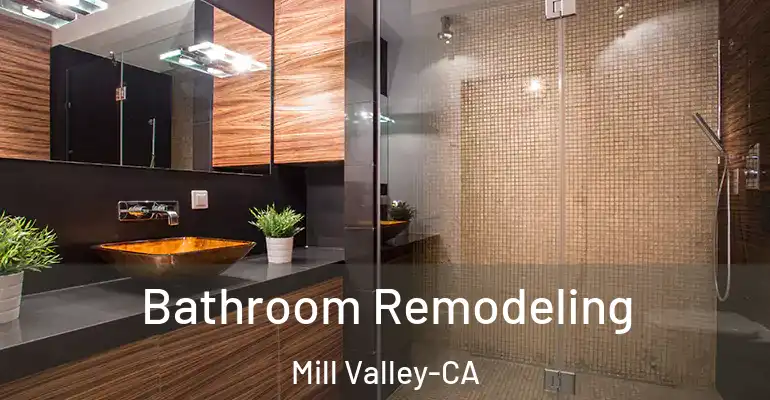 inner Bathroom imggen Bathroom Remodeling Mill Valley-CA