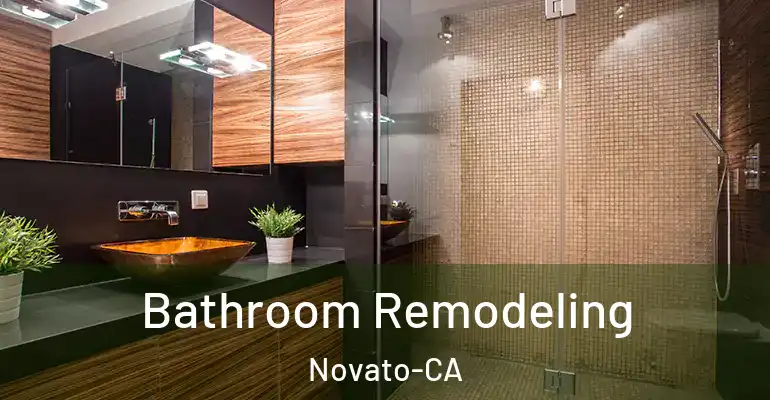 inner Bathroom imggen Bathroom Remodeling Novato-CA