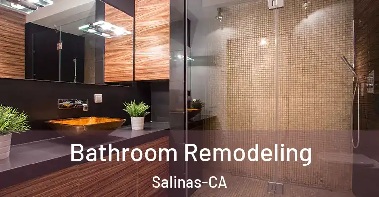 inner Bathroom imggen Bathroom Remodeling Salinas-CA