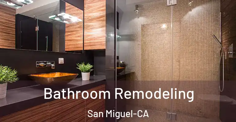 inner Bathroom imggen Bathroom Remodeling San Miguel-CA
