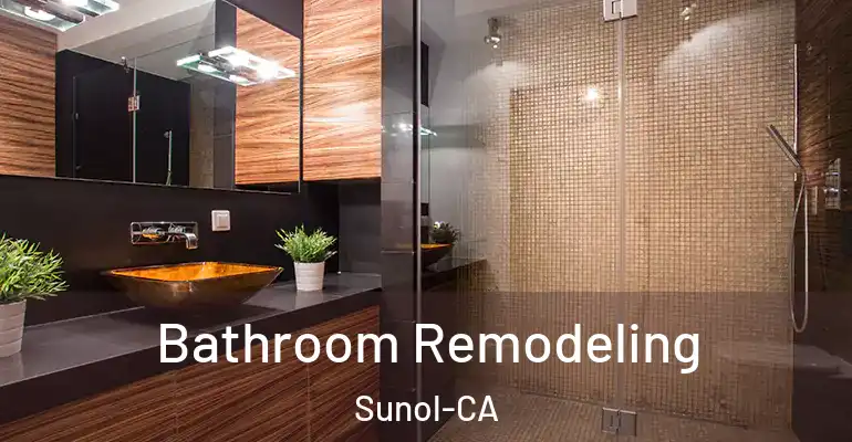 inner Bathroom imggen Bathroom Remodeling Sunol-CA