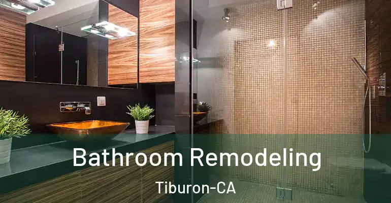 inner Bathroom imggen Bathroom Remodeling Tiburon-CA