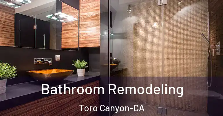 inner Bathroom imggen Bathroom Remodeling Toro Canyon-CA