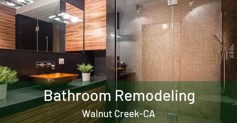 inner Bathroom imggen Bathroom Remodeling Walnut Creek-CA