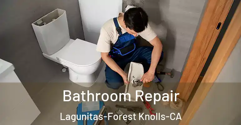 inner Bathroom imggen Bathroom Repair Lagunitas-Forest Knolls-CA