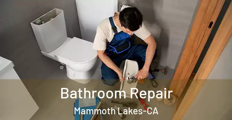 inner Bathroom imggen Bathroom Repair Mammoth Lakes-CA