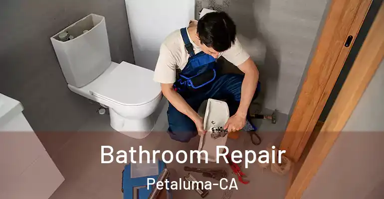 inner Bathroom imggen Bathroom Repair Petaluma-CA