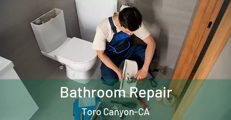 inner Bathroom imggen Bathroom Repair Toro Canyon-CA