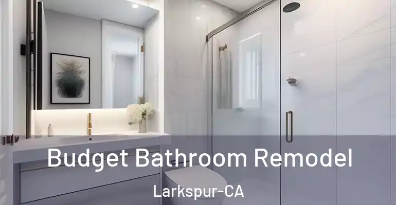 inner Bathroom imggen Budget Bathroom Remodel Larkspur-CA