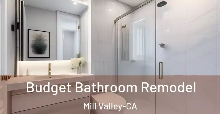 inner Bathroom imggen Budget Bathroom Remodel Mill Valley-CA