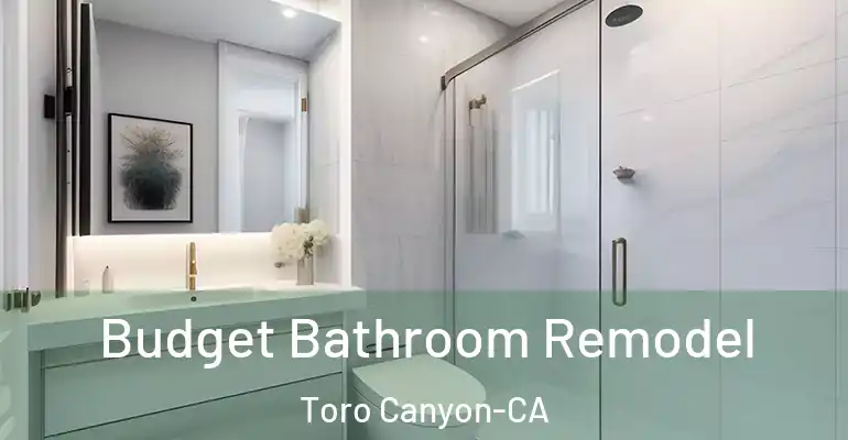 inner Bathroom imggen Budget Bathroom Remodel Toro Canyon-CA