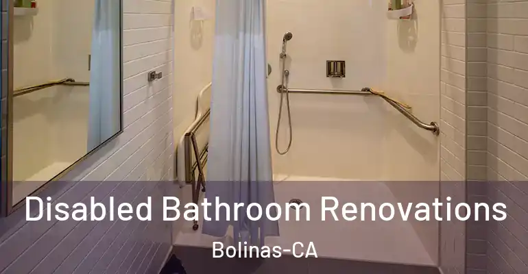 inner Bathroom imggen Disabled Bathroom Renovations Bolinas-CA