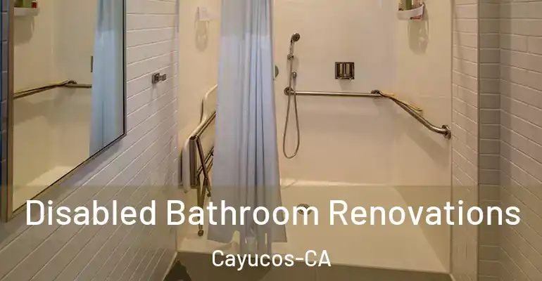 inner Bathroom imggen Disabled Bathroom Renovations Cayucos-CA