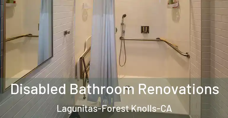 inner Bathroom imggen Disabled Bathroom Renovations Lagunitas-Forest Knolls-CA