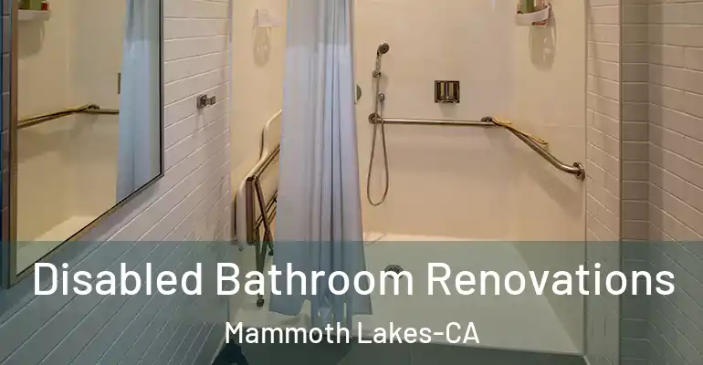 inner Bathroom imggen Disabled Bathroom Renovations Mammoth Lakes-CA