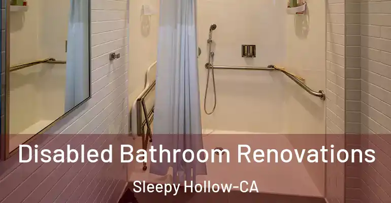 inner Bathroom imggen Disabled Bathroom Renovations Sleepy Hollow-CA