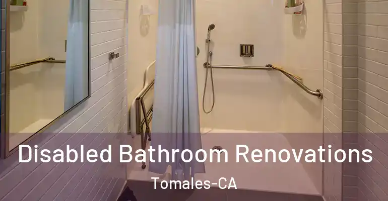inner Bathroom imggen Disabled Bathroom Renovations Tomales-CA