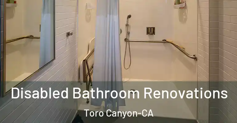 inner Bathroom imggen Disabled Bathroom Renovations Toro Canyon-CA