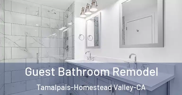 inner Bathroom imggen Guest Bathroom Remodel Tamalpais-Homestead Valley-CA
