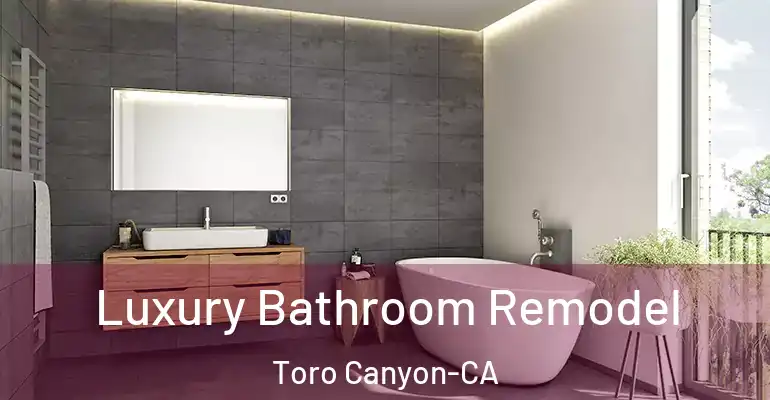 inner Bathroom imggen Luxury Bathroom Remodel Toro Canyon-CA