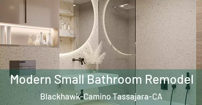 inner Bathroom imggen Modern Small Bathroom Remodel Blackhawk-Camino Tassajara-CA