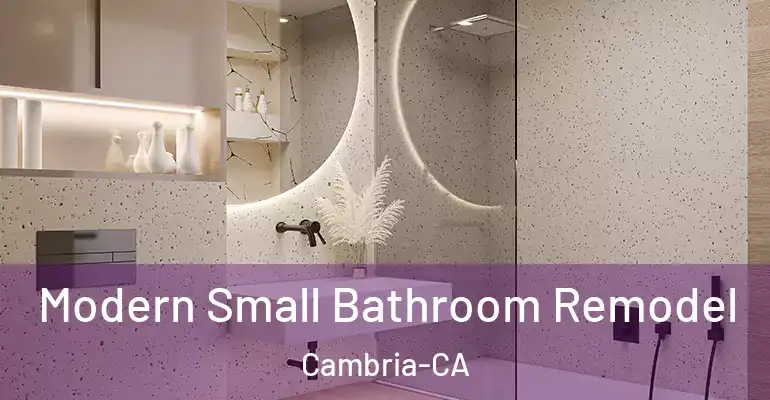 inner Bathroom imggen Modern Small Bathroom Remodel Cambria-CA