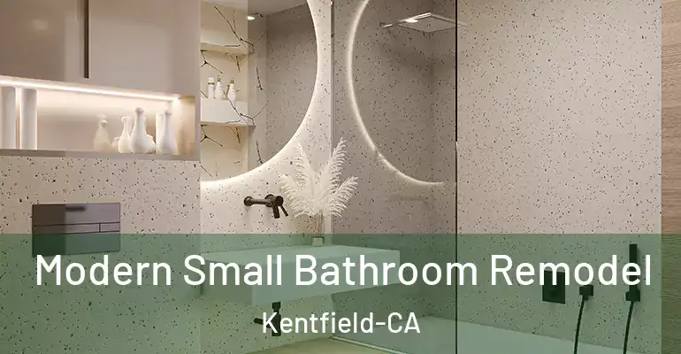 inner Bathroom imggen Modern Small Bathroom Remodel Kentfield-CA