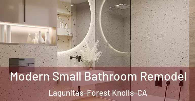 inner Bathroom imggen Modern Small Bathroom Remodel Lagunitas-Forest Knolls-CA