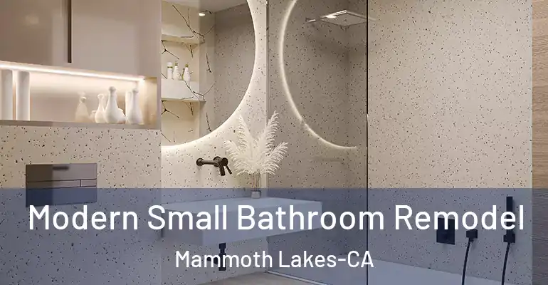 inner Bathroom imggen Modern Small Bathroom Remodel Mammoth Lakes-CA