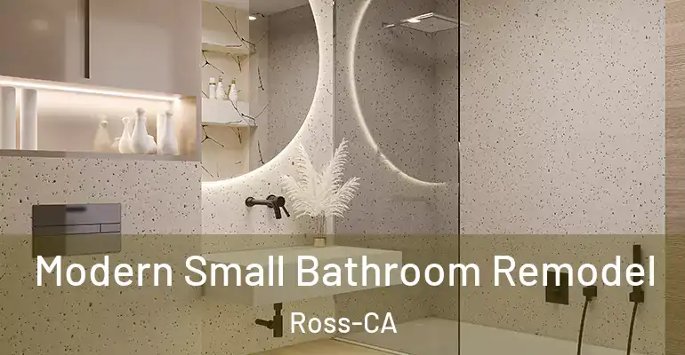 inner Bathroom imggen Modern Small Bathroom Remodel Ross-CA