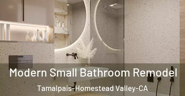 inner Bathroom imggen Modern Small Bathroom Remodel Tamalpais-Homestead Valley-CA