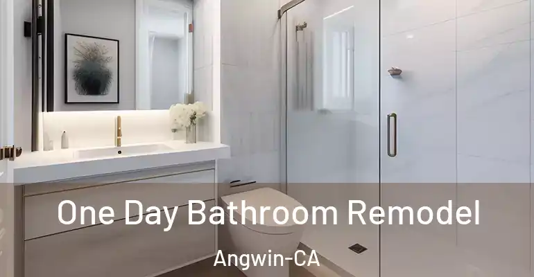 inner Bathroom imggen One Day Bathroom Remodel Angwin-CA