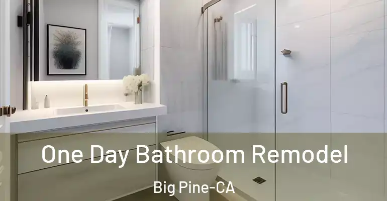 inner Bathroom imggen One Day Bathroom Remodel Big Pine-CA