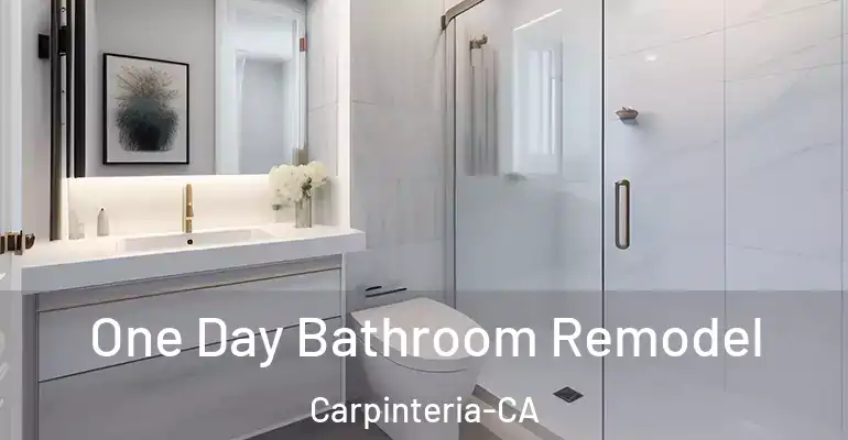 inner Bathroom imggen One Day Bathroom Remodel Carpinteria-CA