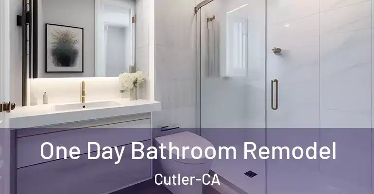 inner Bathroom imggen One Day Bathroom Remodel Cutler-CA