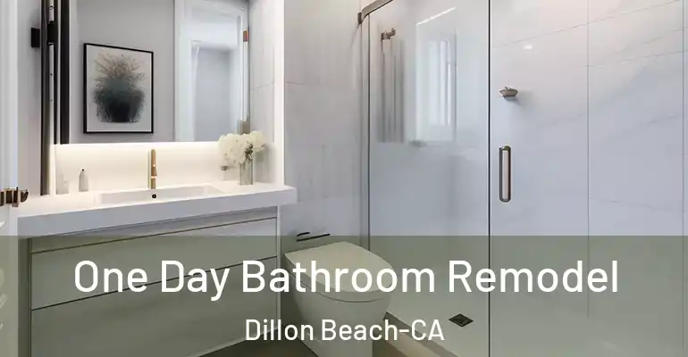 inner Bathroom imggen One Day Bathroom Remodel Dillon Beach-CA