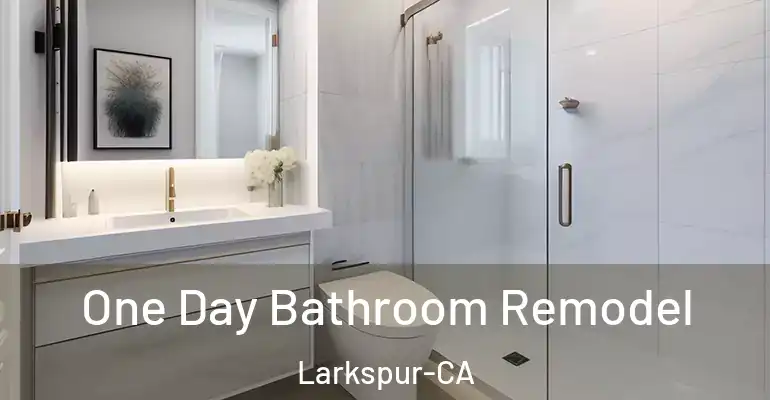 inner Bathroom imggen One Day Bathroom Remodel Larkspur-CA