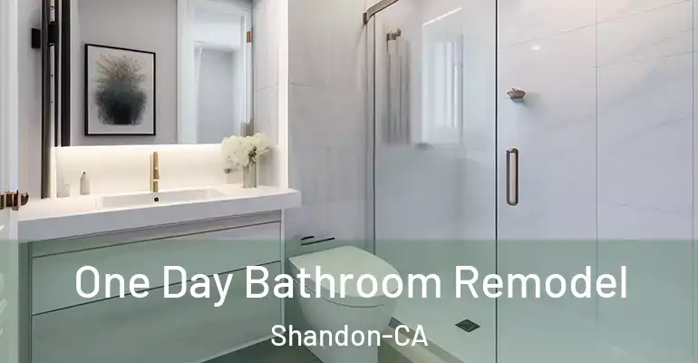 inner Bathroom imggen One Day Bathroom Remodel Shandon-CA