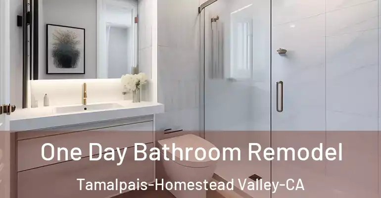 inner Bathroom imggen One Day Bathroom Remodel Tamalpais-Homestead Valley-CA