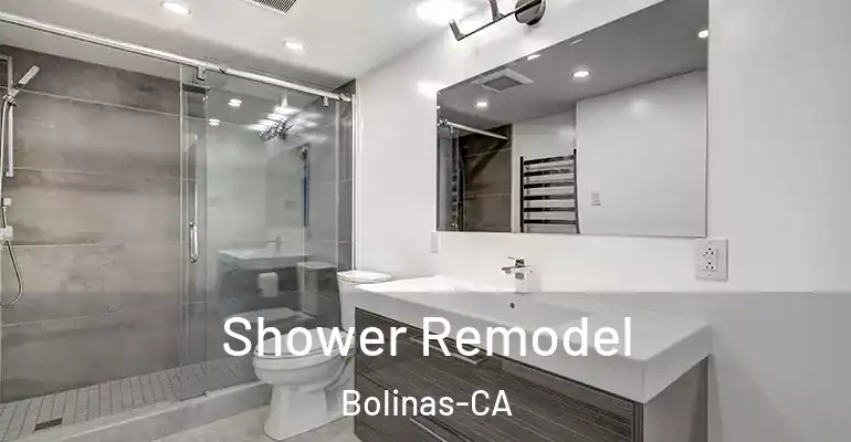inner Bathroom imggen Shower Remodel Bolinas-CA