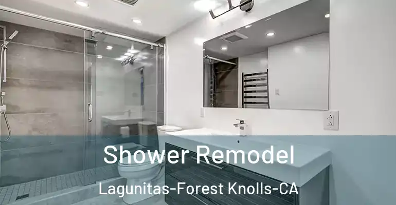 inner Bathroom imggen Shower Remodel Lagunitas-Forest Knolls-CA